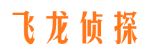 道外市调查公司